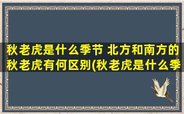 秋老虎是什么季节 北方和南方的秋老虎有何区别(秋老虎是什么季节？南方和北方秋老虎有何不同？)